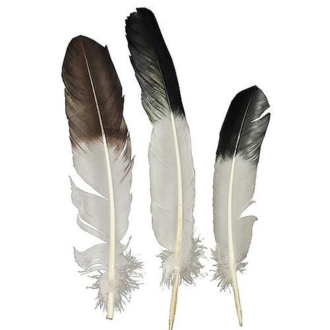 Eagle Tip Feather