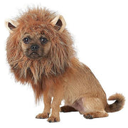 king-of-jungle-dog-costume