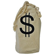 money-bag-canvas