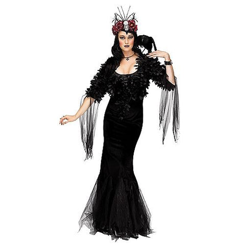 Women's Raven Mistress Costume