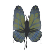 butterfly-wings