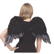 angel-wings-feather