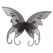 butterfly-wings-2