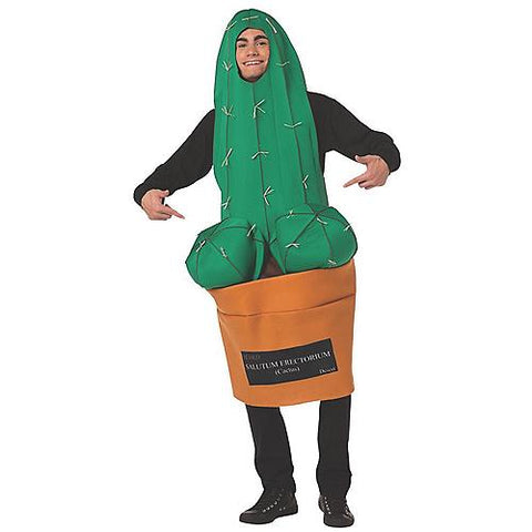 Happy Cactus Costume