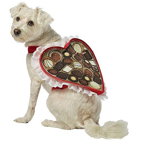 Chocolate Box Dog Costume | Horror-Shop.com