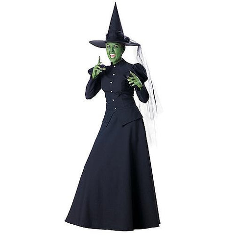 Women's Witch Costume
