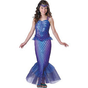 mysterious-mermaid-costume