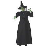 womens-plus-size-witch-costume