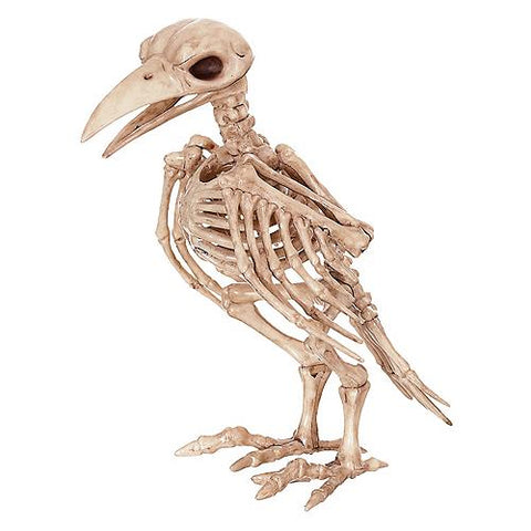 Skeleton Raven