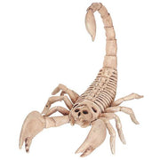 scorpion-skeleton