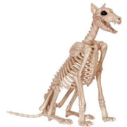 skeleton-doberman