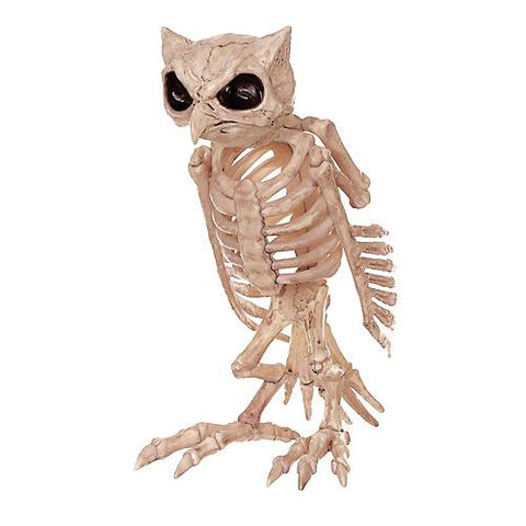 Skeleton Owl