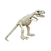 16-t-rex-skeleton