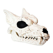 werewolf-skull