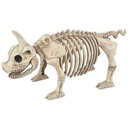 pig-skeleton