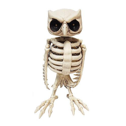 Owl Skeleton Animated