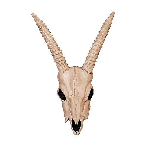 Skeleton Gazelle Head