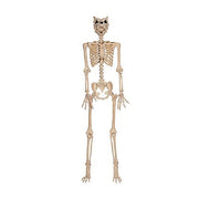 60-werewolf-pose-n-stay-skeleton