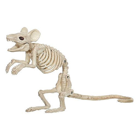 Mouse Standarding Skeleton