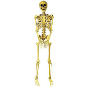 5-skeleton-pose-hold