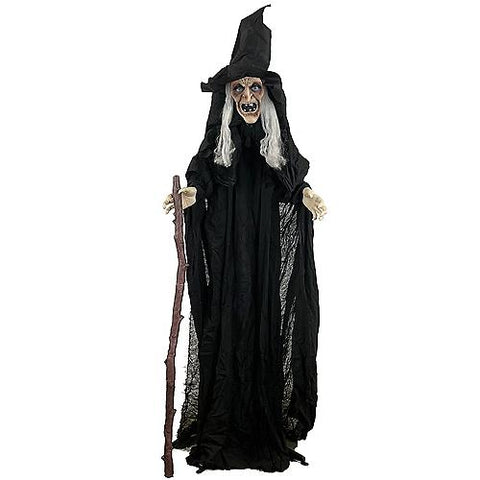 Animated Witch with Cane
