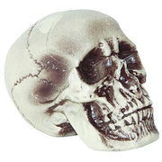 7-realistic-skull
