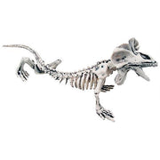 16-skeleton-lizard