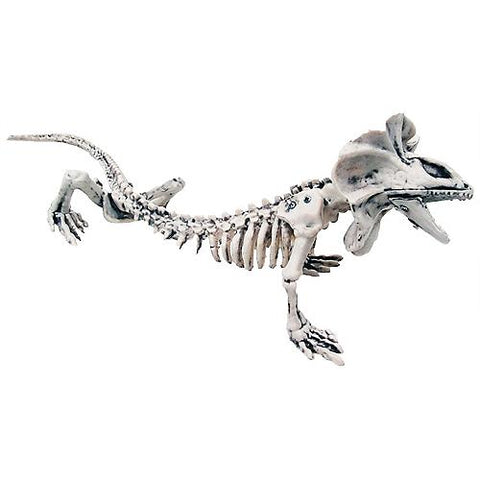 16" Skeleton Lizard