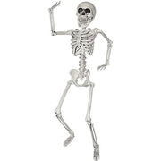 24-skeleton