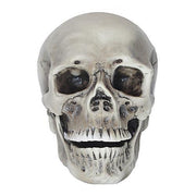 realistic-rotting-skull