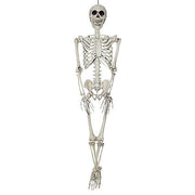 36-skeleton