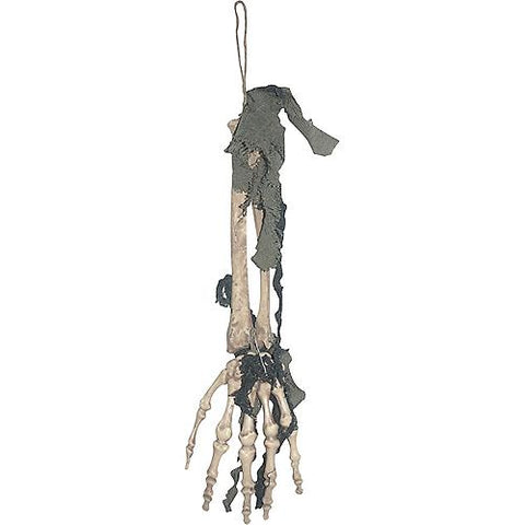 Skeleton Hand with Cloth