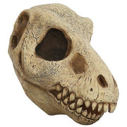 t-rex-skull-mask