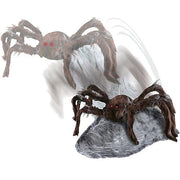 jumping-spider-brown