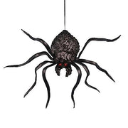 hanging-shaking-spider