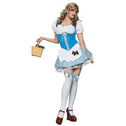 womens-picnic-chick-costume