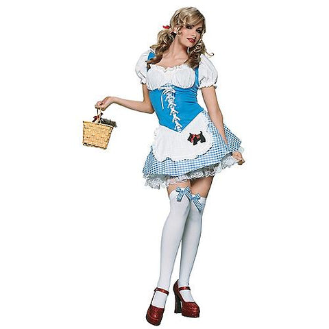 Women's Picnic Chick Costume