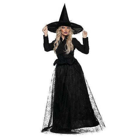 Wicked Witch Adult Costume